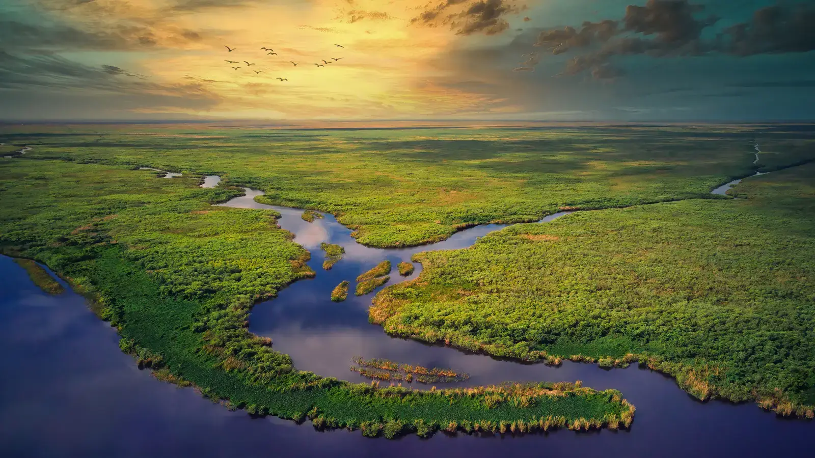 2025-06-11-13-50-53-2025-06-10-OHR.AerialEverglades_EN-US9045585896_UHD.jpg