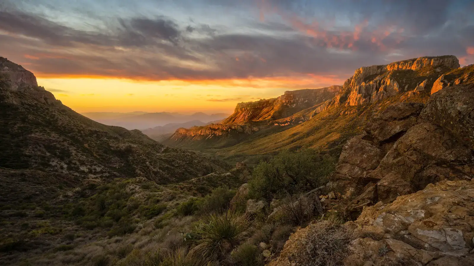 2025-06-19-16-38-00-2025-06-12-OHR.BigBendChisos_EN-US9433220487_UHD.jpg