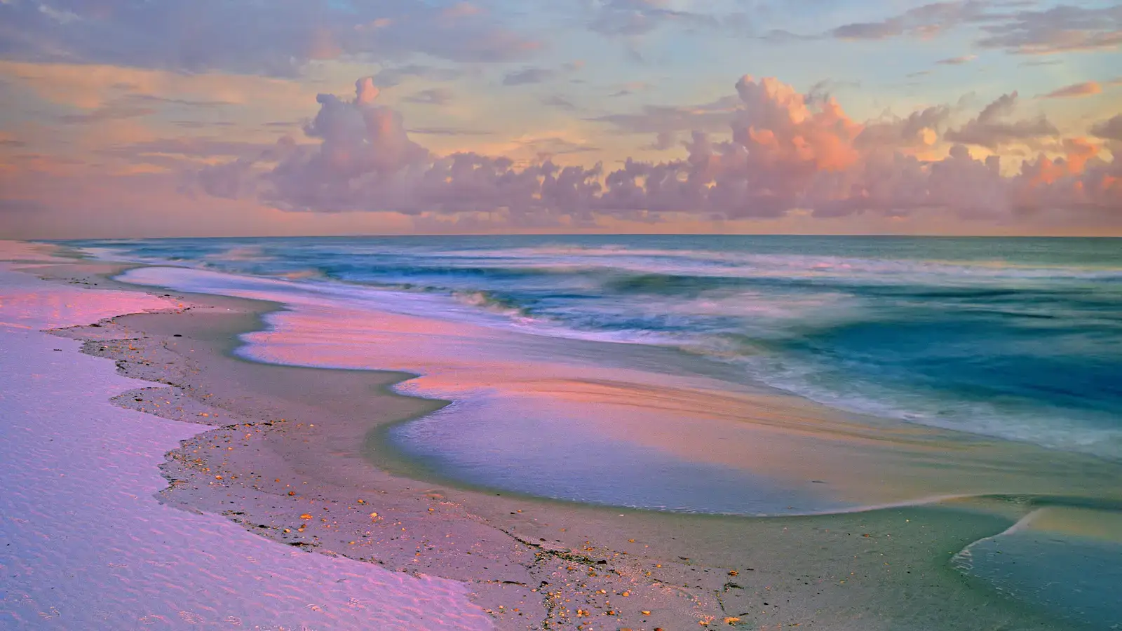2025-07-24-03-09-13-2025-07-18-OHR.FloridaSeashore_EN-US9038929616_UHD.jpg