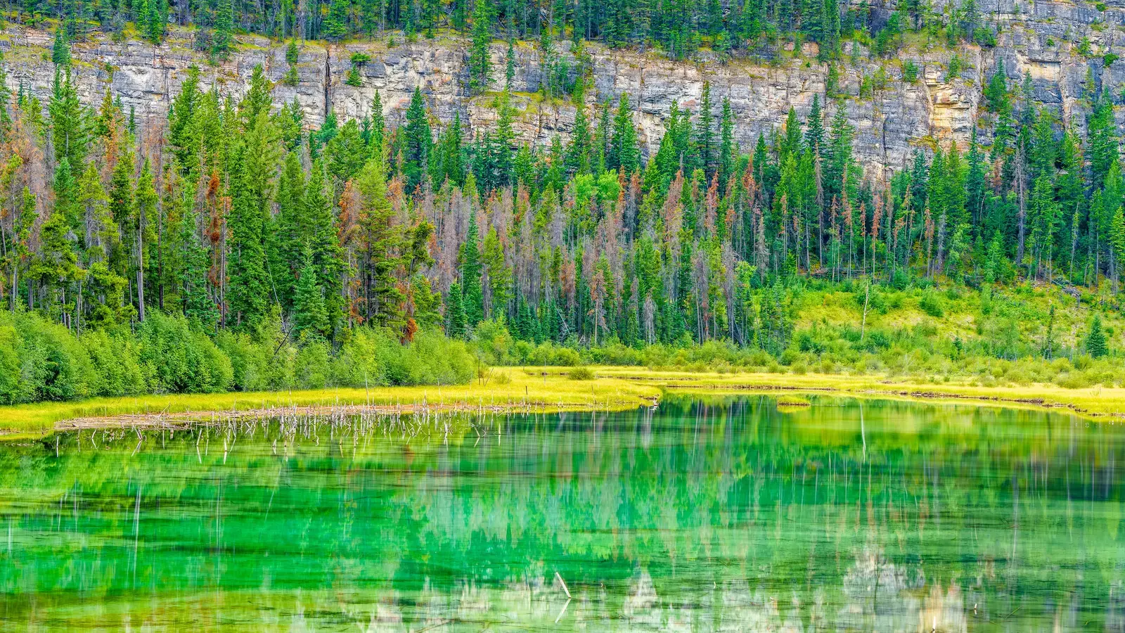 2026-05-02-OHR.GreenJasper_EN-US0253969334_UHD.jpg