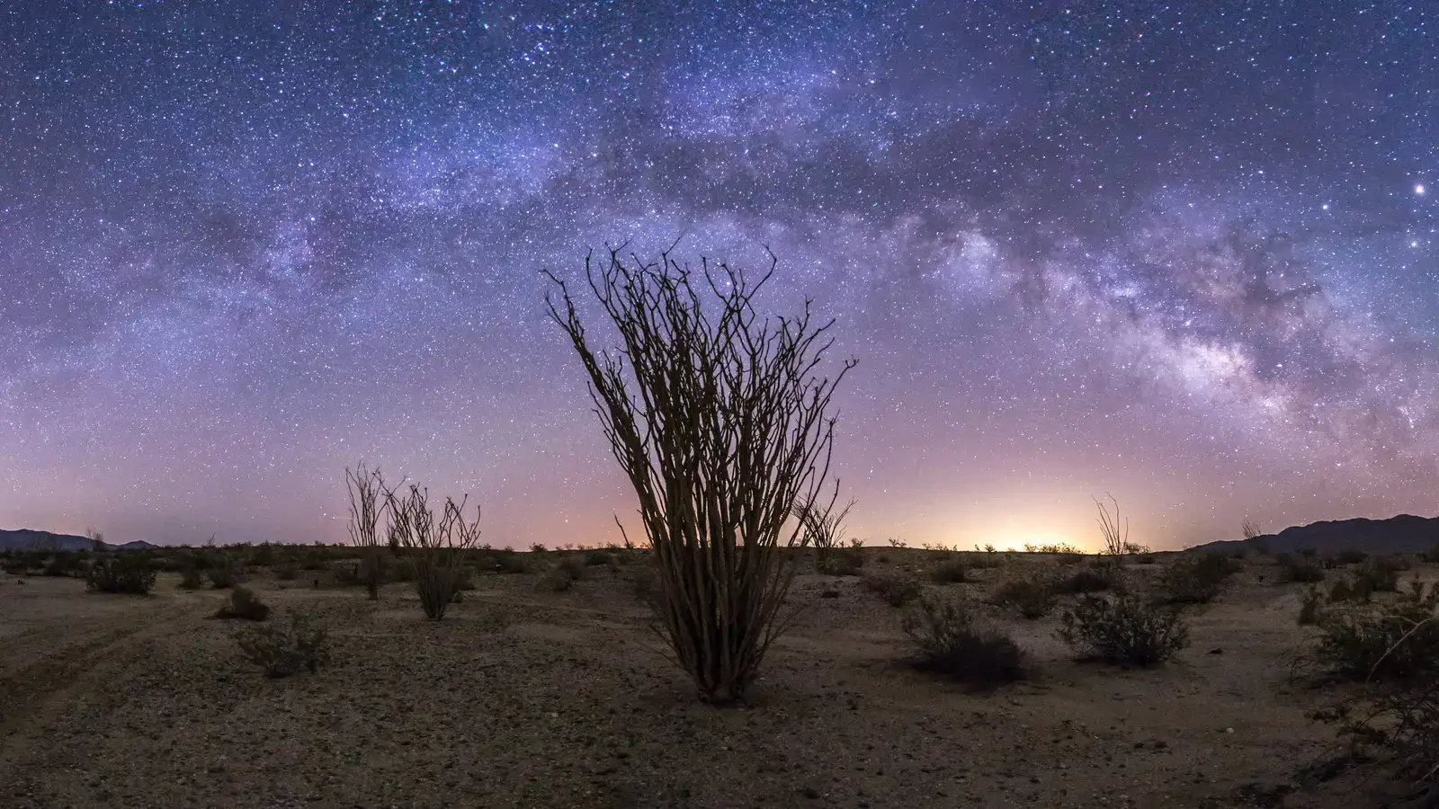 2026-04-13-OHR.BorregoStars_EN-US8252825773_UHD.jpg
