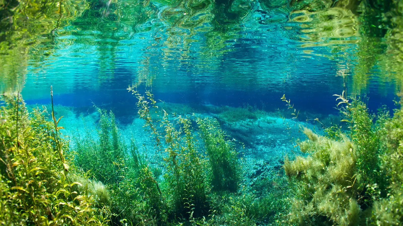 2025-07-06-20-47-50-2025-07-03-OHR.RainbowRiver_EN-US0442967532_UHD.jpg