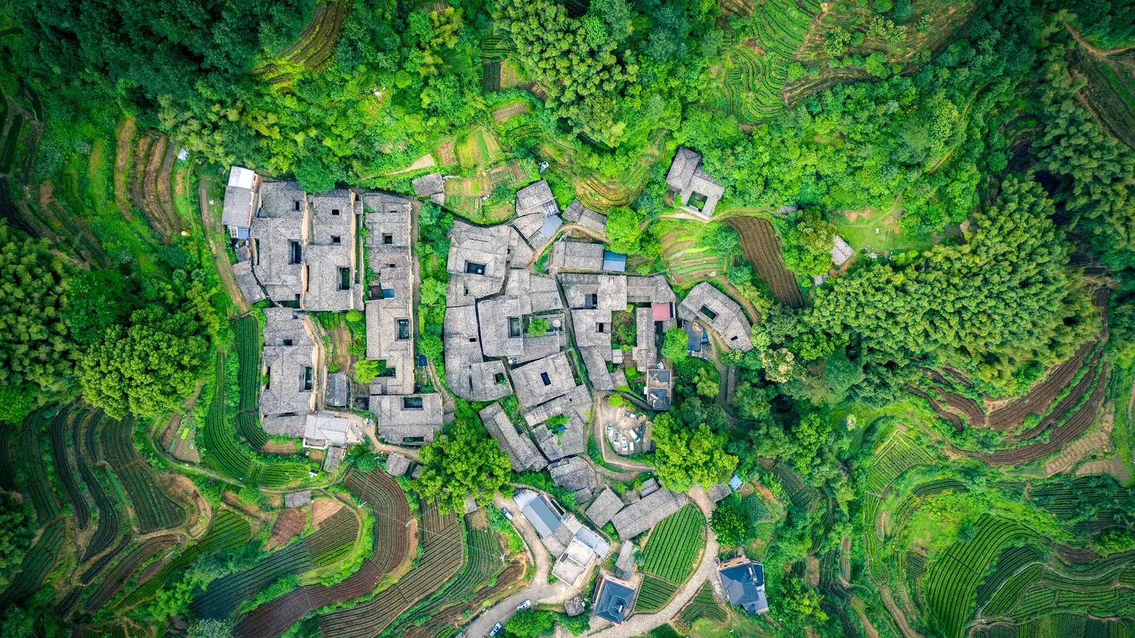 2025-05-23-00-23-54-2025-05-21-OHR.SongyangTeaGarden_EN-US3919106941_UHD.jpg